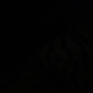 Meet your Posher, Chanely